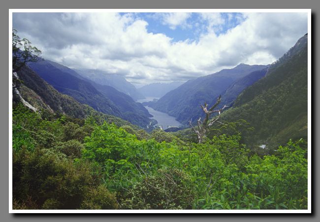 NZ-img037