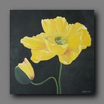 [Click to enlarge image]