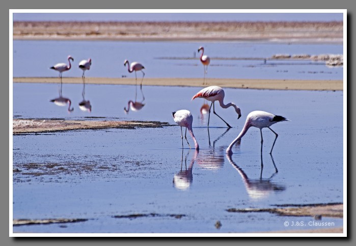 042_JC_Salar_de_Atacama_4928