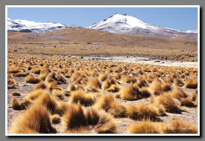 032_SC_El_Tatio_0428