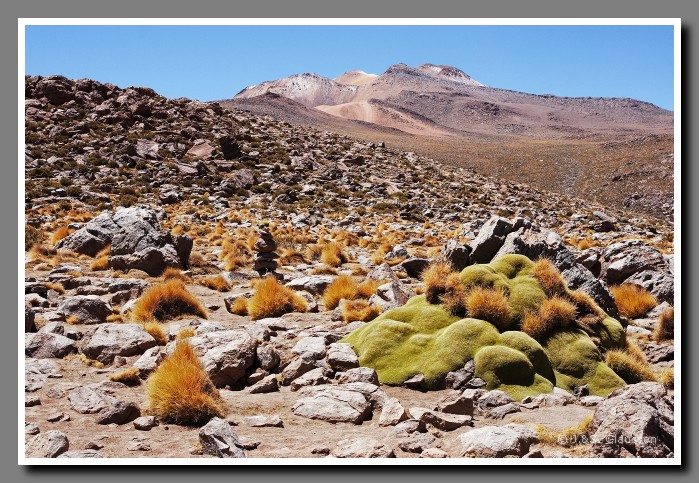 033_SC_El_Tatio_0455