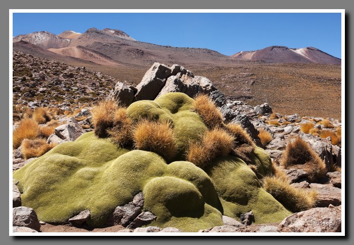 034_JC_El_Tatio_0967