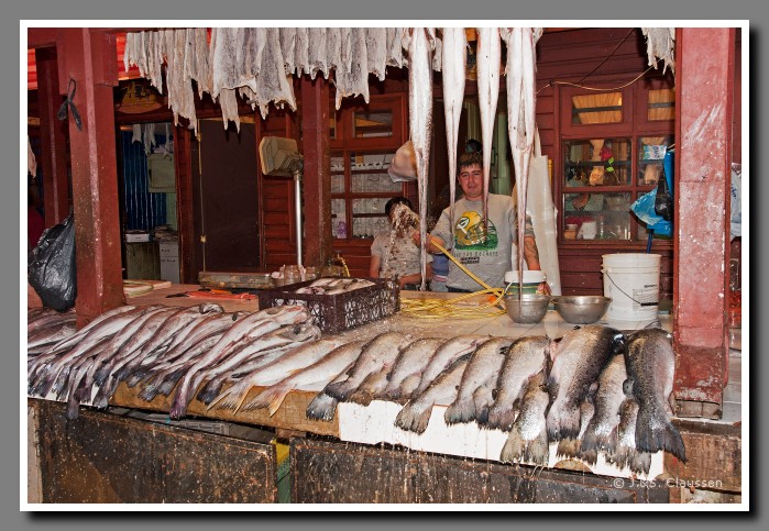 11_SC_Fischmarkt_Angelm_0540