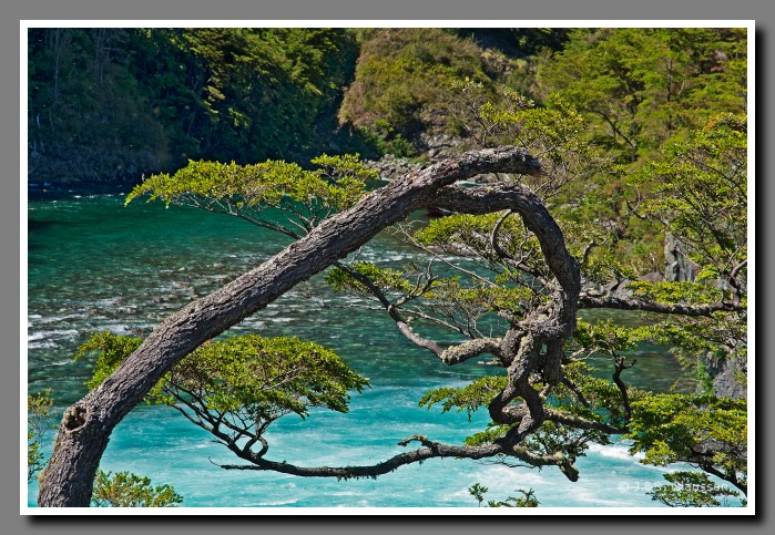 29_SC_Rio_Petrohue_0667