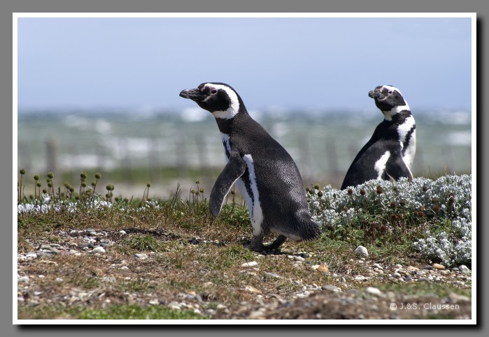 04_JC_Magellanstrasse_5091