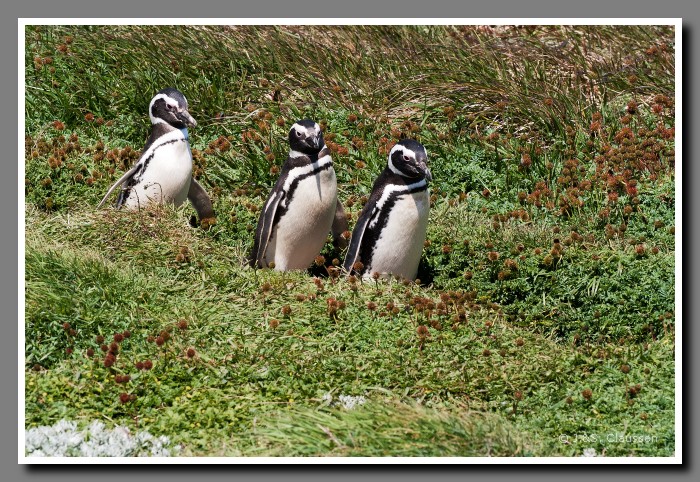 10_SC_Magellanstrasse_3129