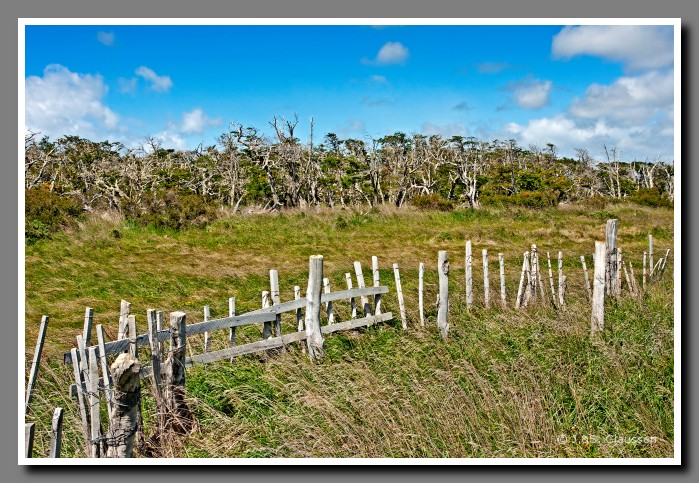 14_SC_Magellanstrasse_0756