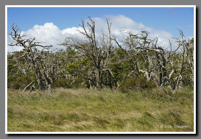 15_SC_Magellanstrasse_0758