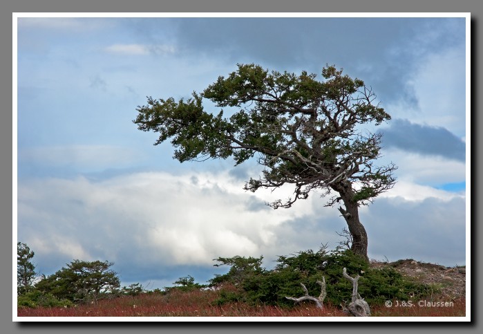 23_SC_Patagonien_0815