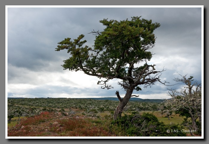 25_SC_Patagonien_0822