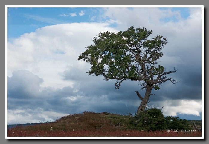 28_SC_Patagonien_0819