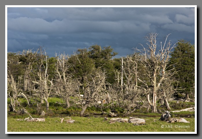 30_SC_Patagonien_0840