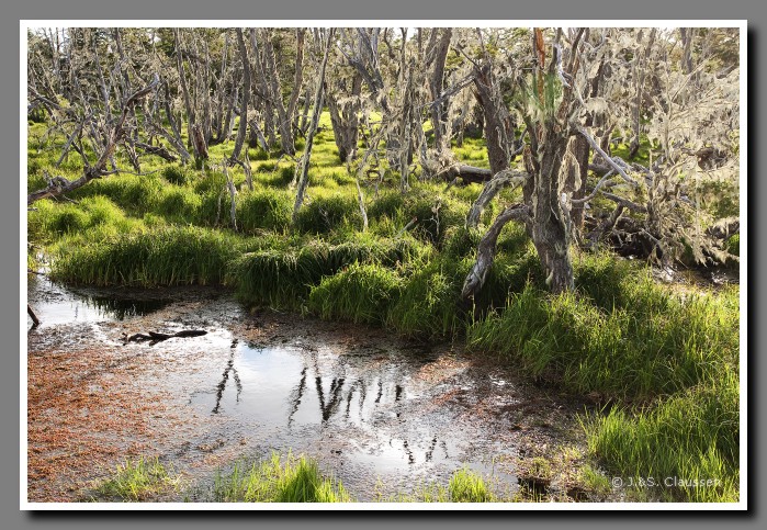 32_SC_Patagonien_0835