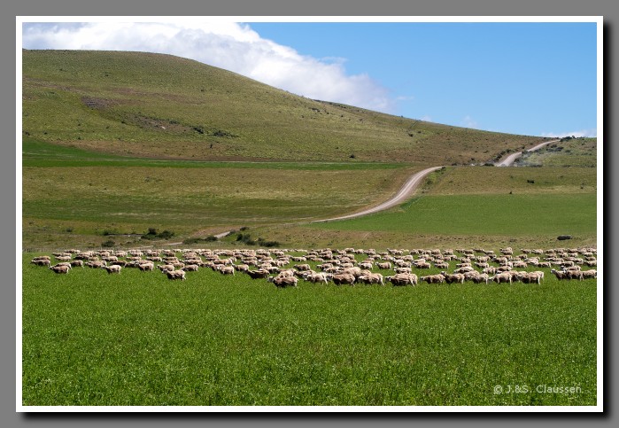 48_SC_Patagonien_3154