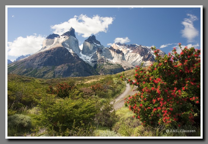 15_SC_Torres_del_Paine_0988