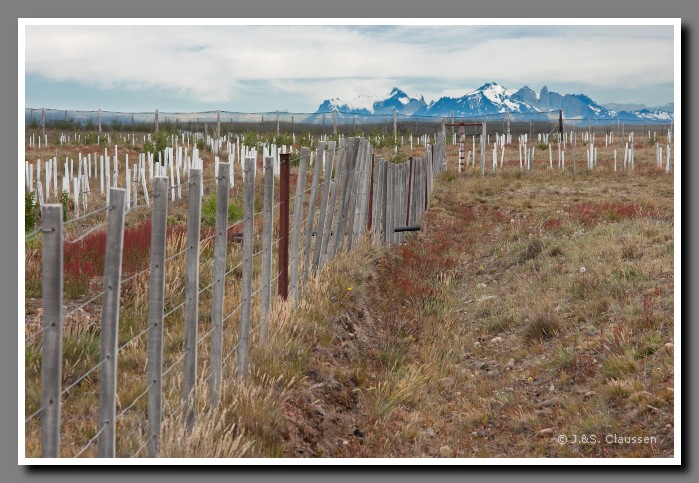 24_SC_Patagonien_Arg_1315