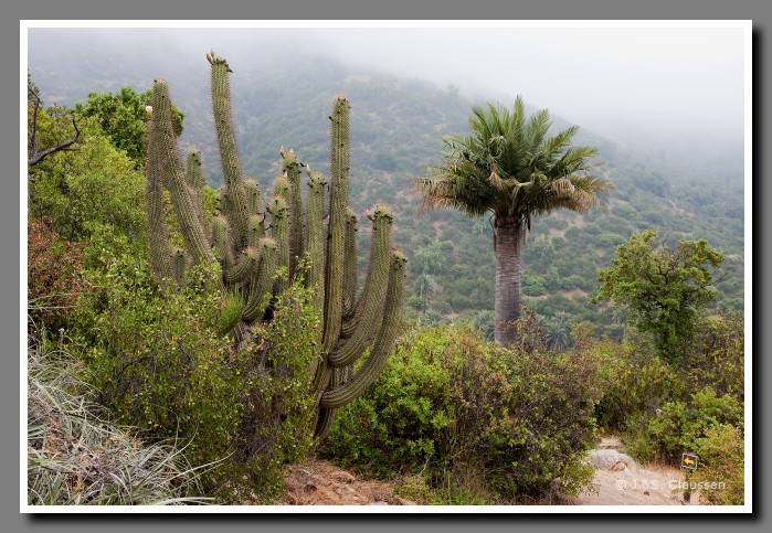 18_SC_La_Campana_NP_0022