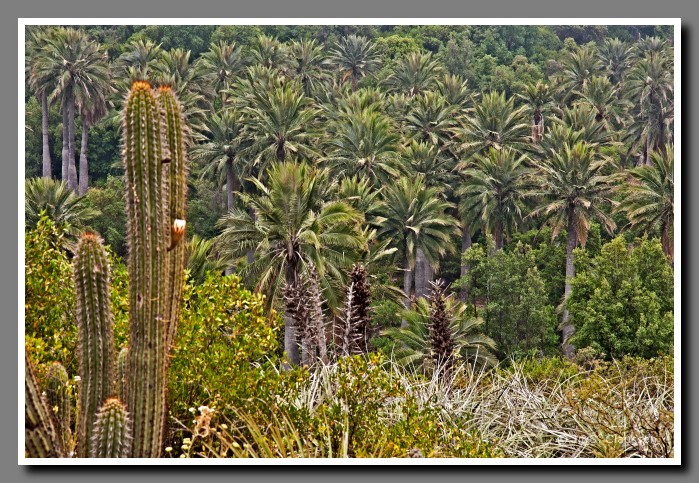 19_JC_La_Campana_0417