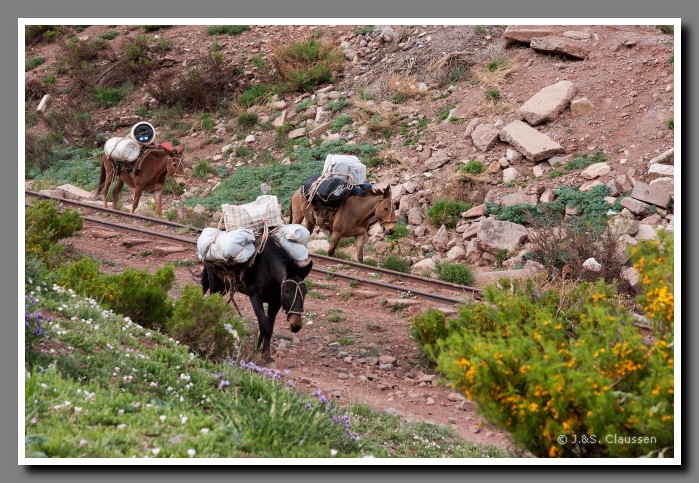 29_Aconcagua_Guetertransport_00052
