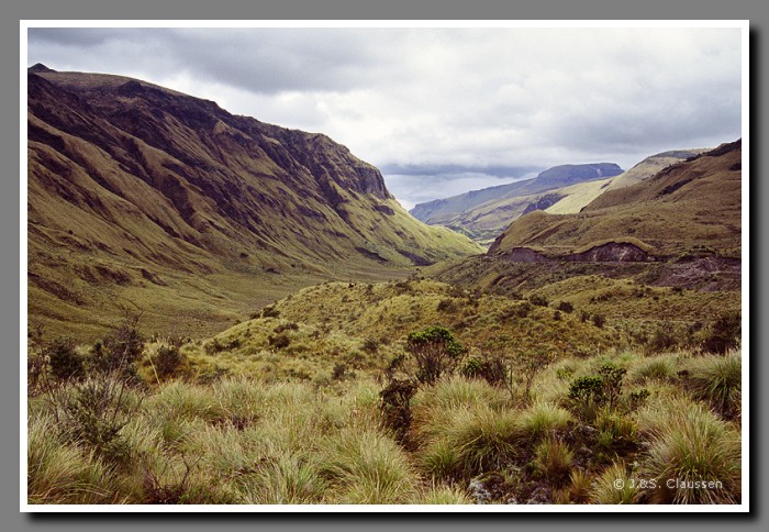 019_S_Papallacta_Pass_4064m