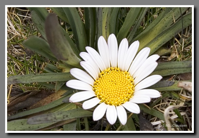 021_J_Papallacta_B_1635