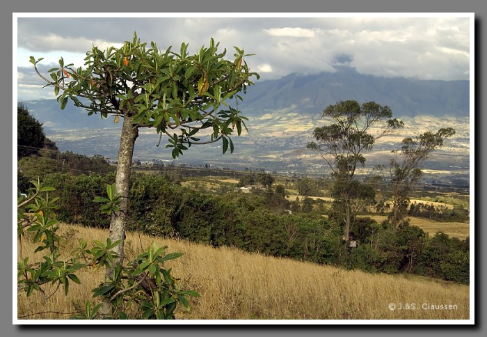 036_S__Blick_vom_Kraterrand0942