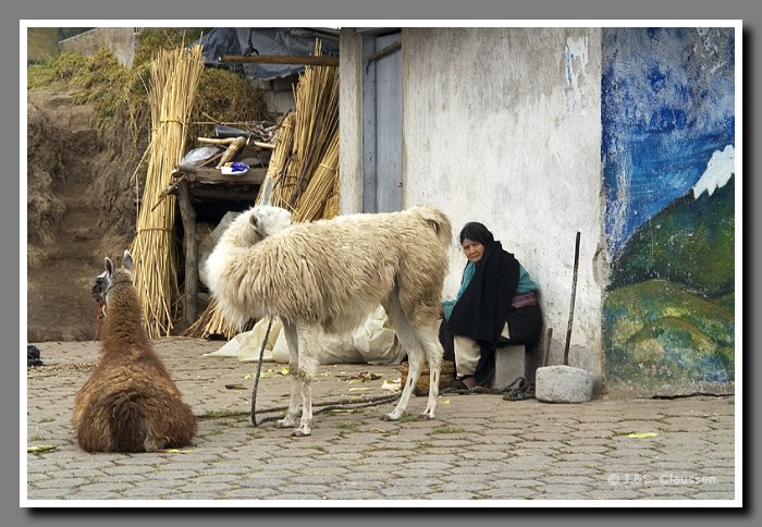 038_S_Panamericana0925