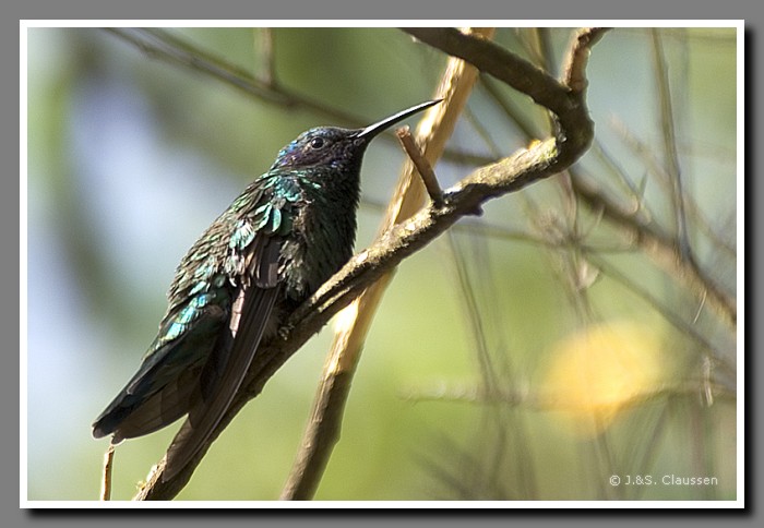 042_J_Hazienda_Cusin1773