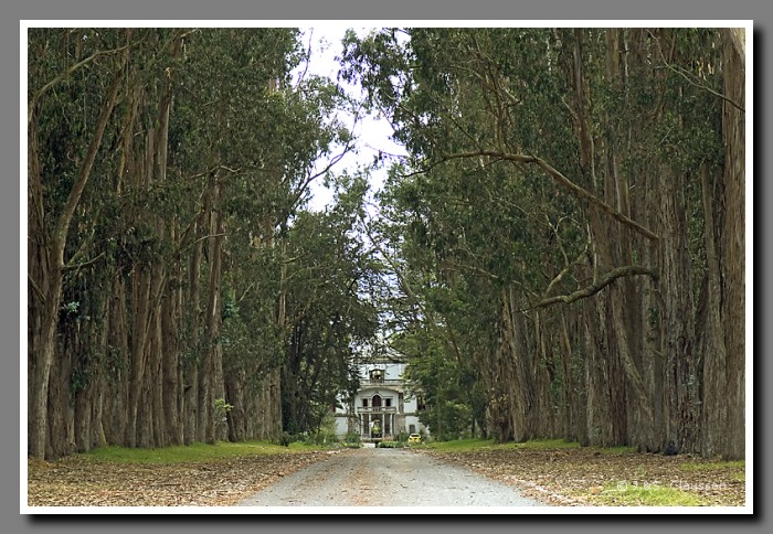 063_J_Hazienda_Humboldt1835