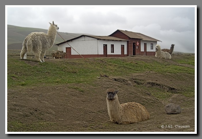 069_S_Bahnhof_bei_Riobamba1089