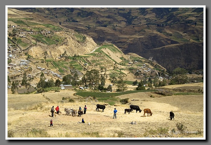 082_S_Linsen_dreschen1133