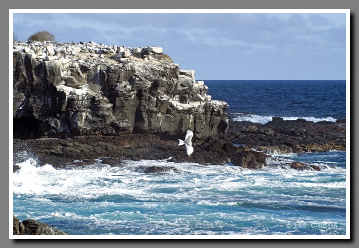 028_S_Espanola_LZ_Suarez1477