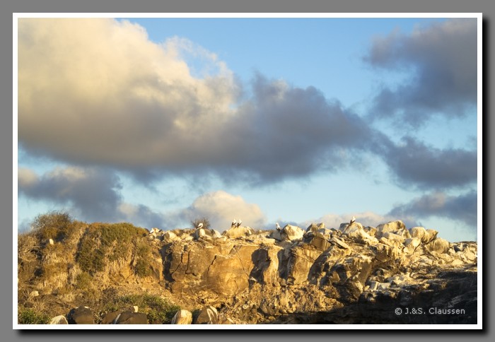 034_S_Espanola_Suarez1512