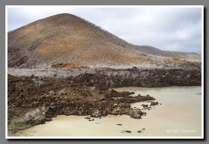 043_J_Floreana_Brakwasser2462