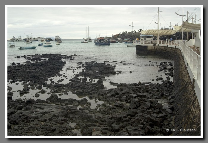 083_S_Puerto_Ayora_Santa_Cruz1787 