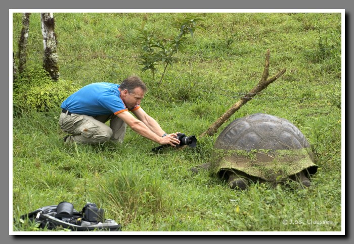 091a_S_Joern_Schildkroete1831