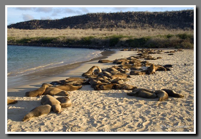 149_J_Seeloewen_Santa_Fe3782