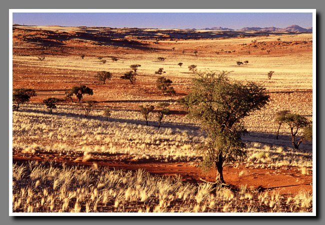 namibia-009