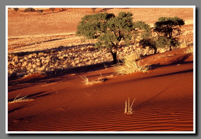 namibia-011