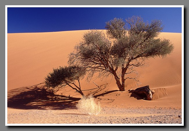 namibia-024