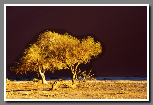 namibia-029