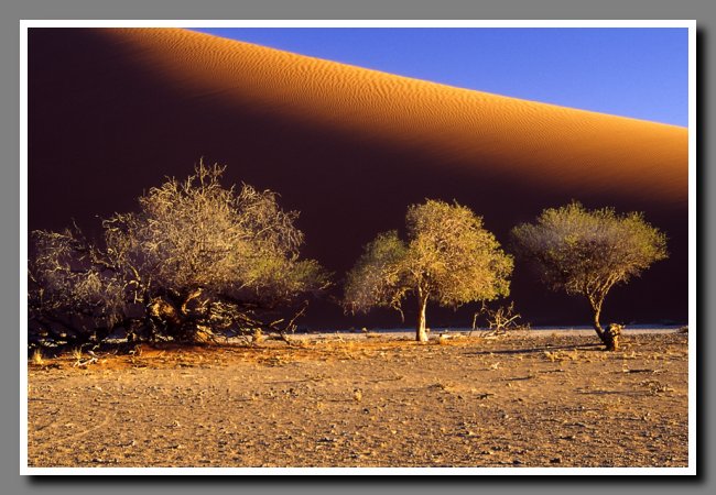 namibia-030