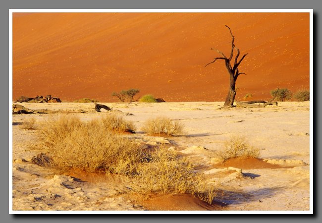 namibia-041