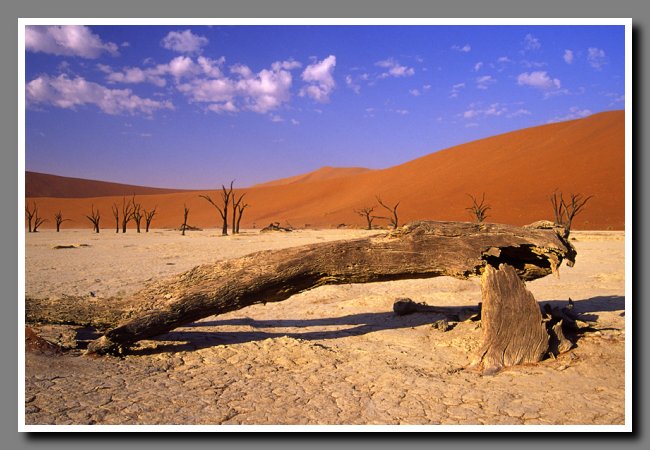 namibia-044