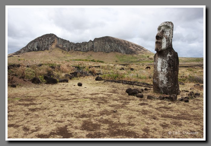 19_SC_Te _Pito _Kura_1563