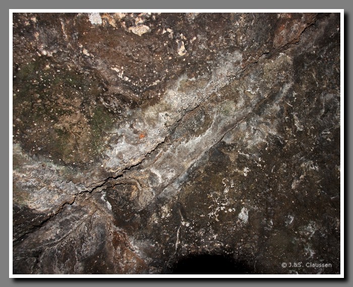 55_SC_Ana_Te_Pahu_versteinerte_Baeume_1776